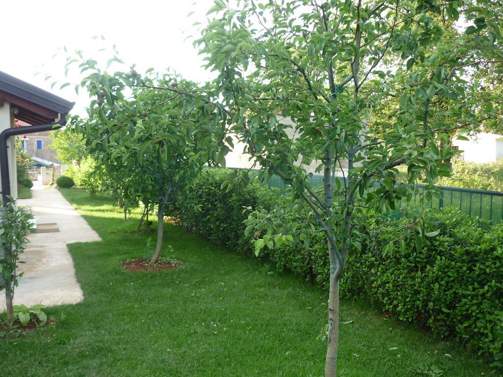 Apartmani Radin Rosini Buitenkant foto