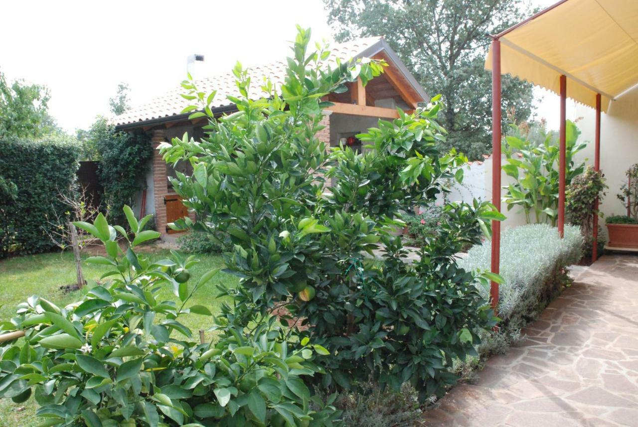 Apartmani Radin Rosini Buitenkant foto